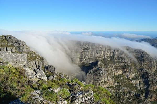 Est-il possible de faire du volontariat dans les réserves naturelles en Afrique ?